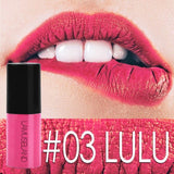 12 Color Matte Lipstick