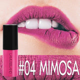 12 Color Matte Lipstick