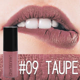 12 Color Matte Lipstick