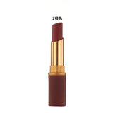 Long Lasting Lipgloss/Lipstick Waterproof