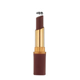 Long Lasting Lipgloss/Lipstick Waterproof