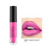 Waterproof Long Lasting Lipstick Matte